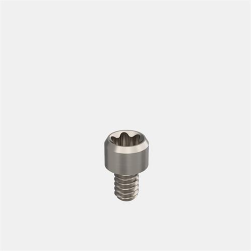 Neodent® Mini/Micro Abutment Angled Ti Base Screw & G2