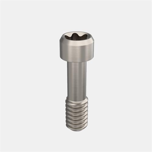 Klockner® VEGA®/+ RV Angulation Correction Screw G2