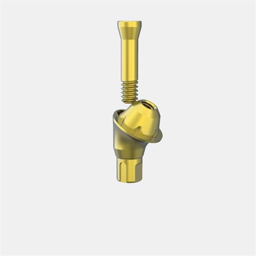 Straumann® Bone Level NC Pilar Transep. GH3,5 (Ang.30º)