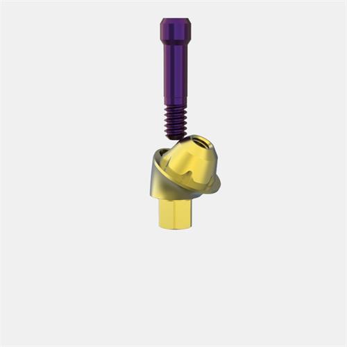 Biomet 3i™ Certain® 3,4 Pilar Transep. GH3 (Ang. 30º)