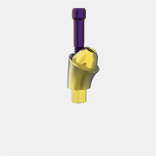 Biomet 3i™ Certain® 3,4 Pilar Transep. GH5 (Ang. 30º)