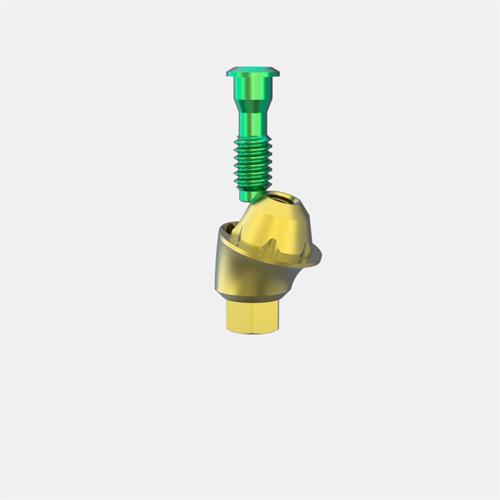 Zimmer® TSV 3,5mmD Pilar Transep. GH3 (Ang. 17º)