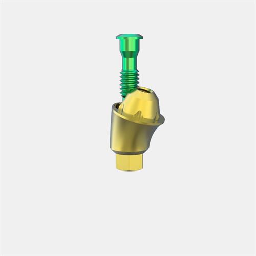 Zimmer® TSV 3,5mmD Pilar Transep. GH4 (Ang. 17º)