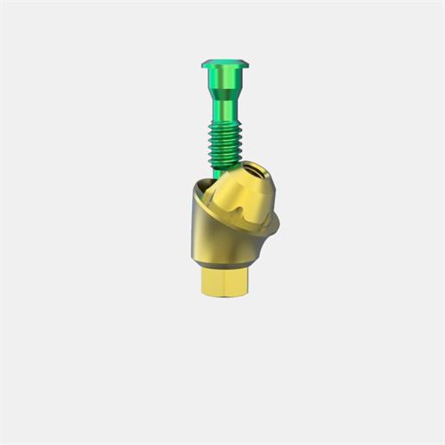 Zimmer® TSV 3,5mmD Pilar Transep. GH4 (Ang. 30º)