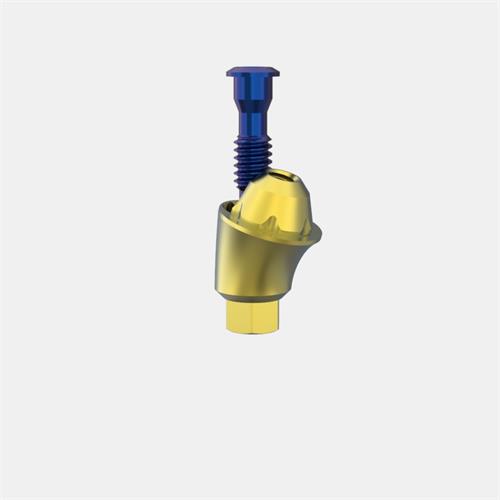 MIS® Internal Hex. Standard Transep. Abut. GH4 (Ang. 17º)