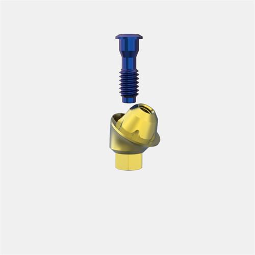 MIS® Internal Hex. Standard Transep. Abut. GH3 (Ang. 30º)