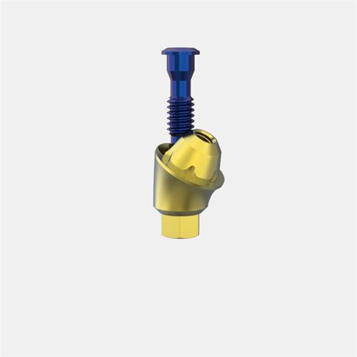 MIS® Internal Hex. Standard Transep. Abut. GH4 (Ang. 30º)