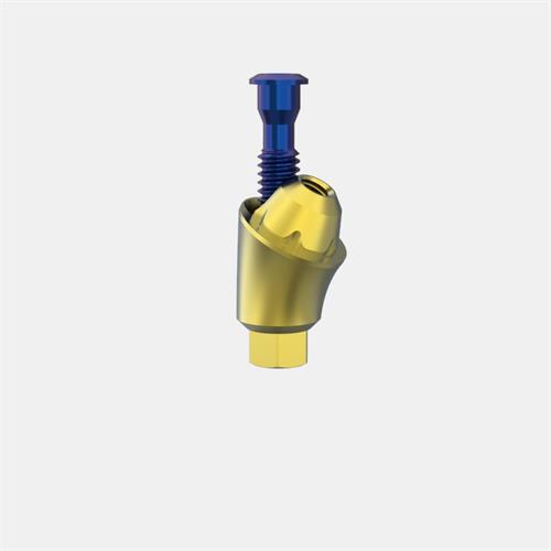 MIS® Internal Hex. Standard Transep. Abut. GH5 (Ang. 30º)