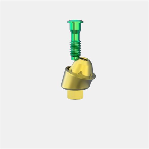 MIS® Internal Hex. Wide Pilar Transep. GH3 (Ang. 17º)