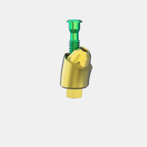 MIS® Internal Hex. Wide Pilar Transep. GH5 (Ang. 30º)
