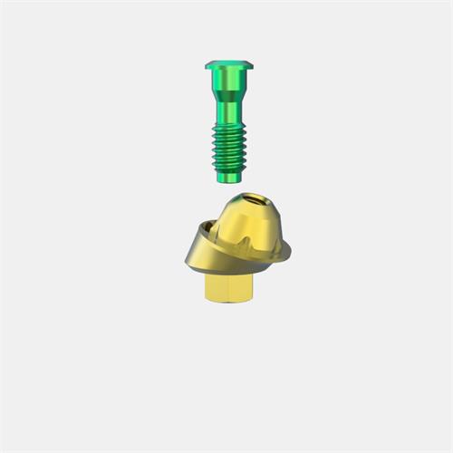 BIOHORIZONS® 4,5mm Pilar Transep. GH2 (Ang. 17º)