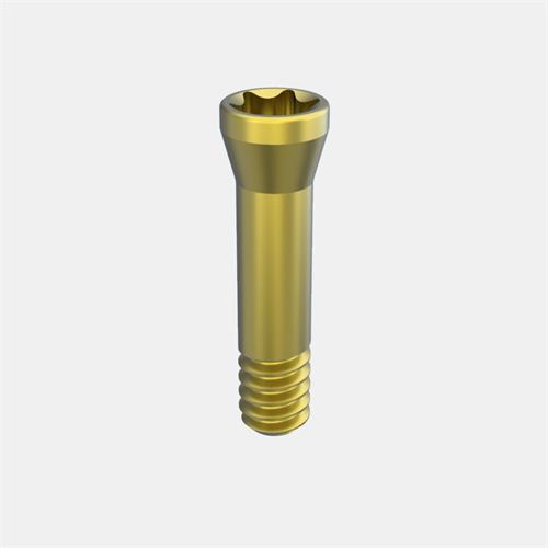 Straumann® Bone Level NC Tornillo Pilar Transep. Ang.