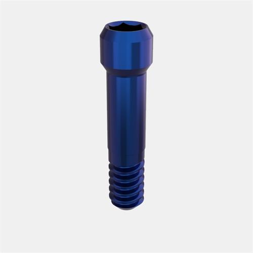Biomet 3i™ Certain® 3,4 Tornillo Pilar Transep. Ang.