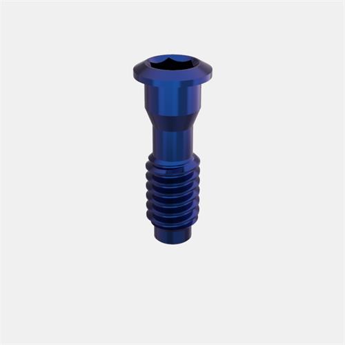 MIS® Internal Hex. Standard Tornillo Pilar Transep. Ang.