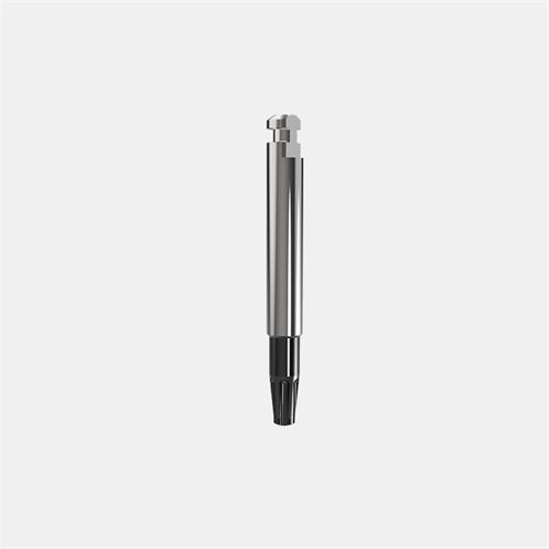 Handpiece Screwdriver (3DIEMME®)