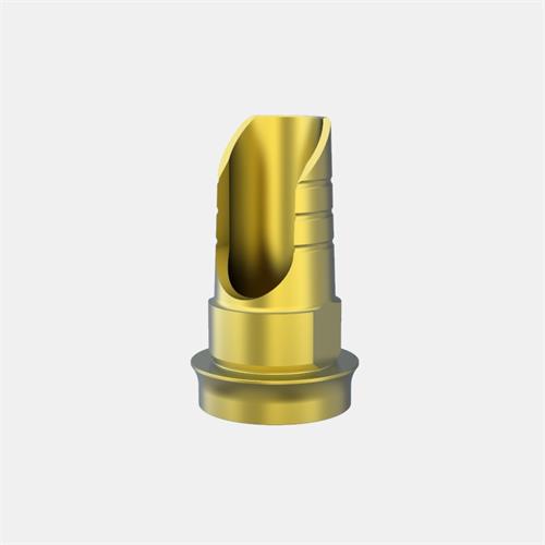 Nobel Brånemark WP Base Ti Ang. GH1,5 H8 No Rot.
