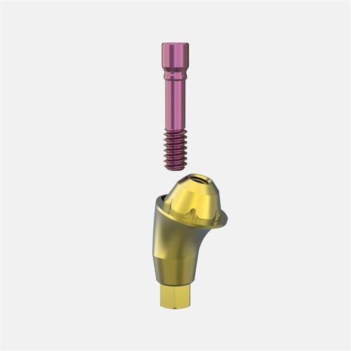 Neodent® GM (Grand Morse) Pilar Transep. GH4,0 (Ang.17º)