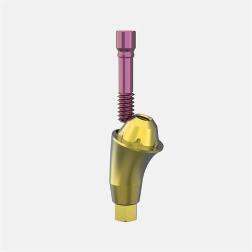 Neodent® GM (Grand Morse) Pilar Transep. GH5,0 (Ang.17º)