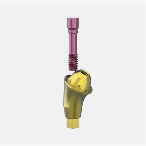 Neodent® GM (Grand Morse) Pilar Transep. GH5,0 (Ang.30º)
