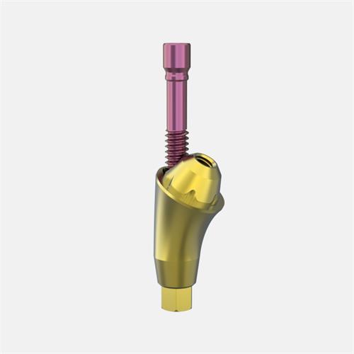 Neodent® GM (Grand Morse) Pilar Transep. GH6,0 (Ang.30º)